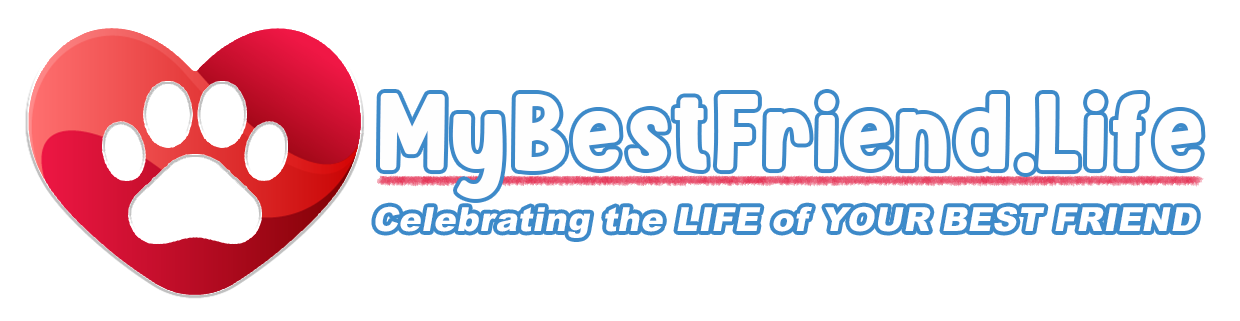 MyBestFriend.Life Logo